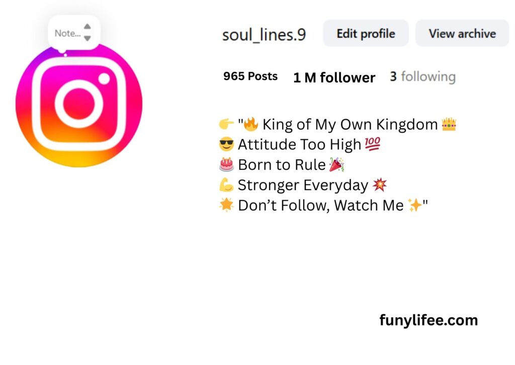 Attitude Instagram Bio for Boys