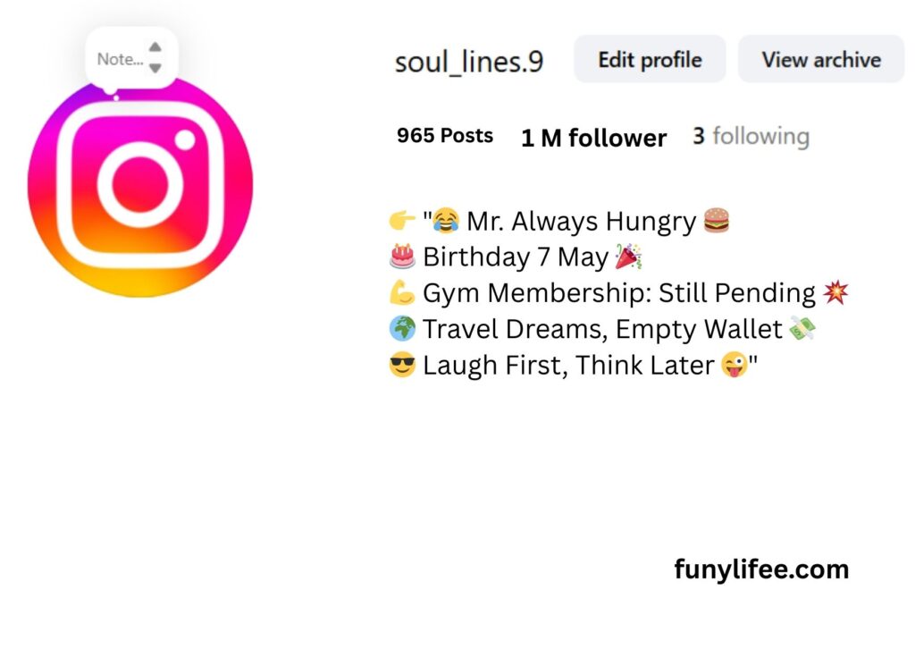 Funny Instagram Bio for Boys
