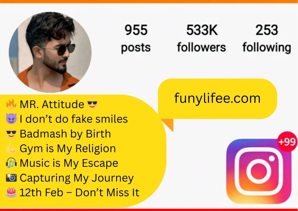 attitude bio for instagram