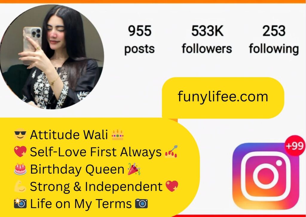 attractive bio for instagram for girl