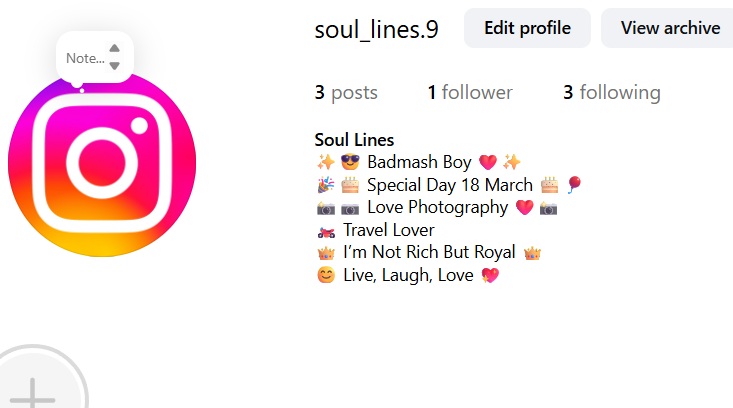 insta bio for boy