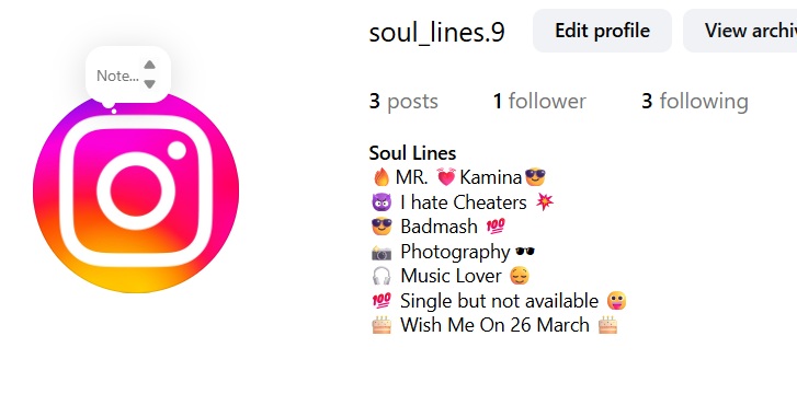 insta bio for boy