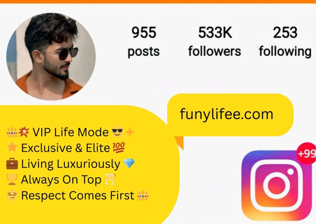 instagram bio attitude
