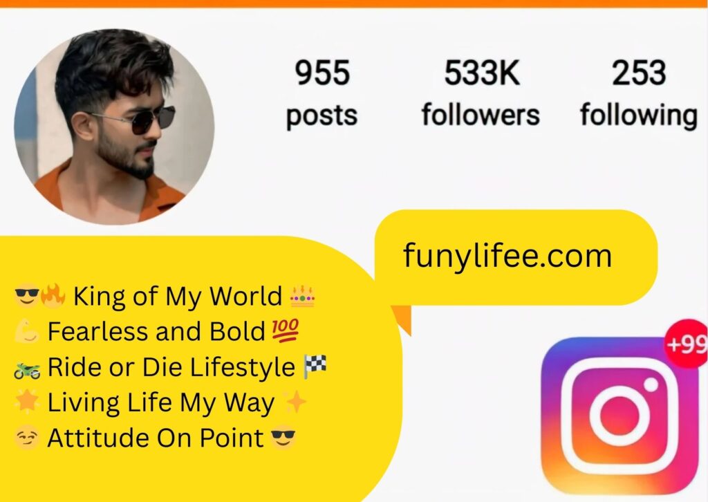 instagram bio attitude
