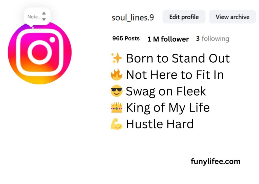 instagram bio for boys