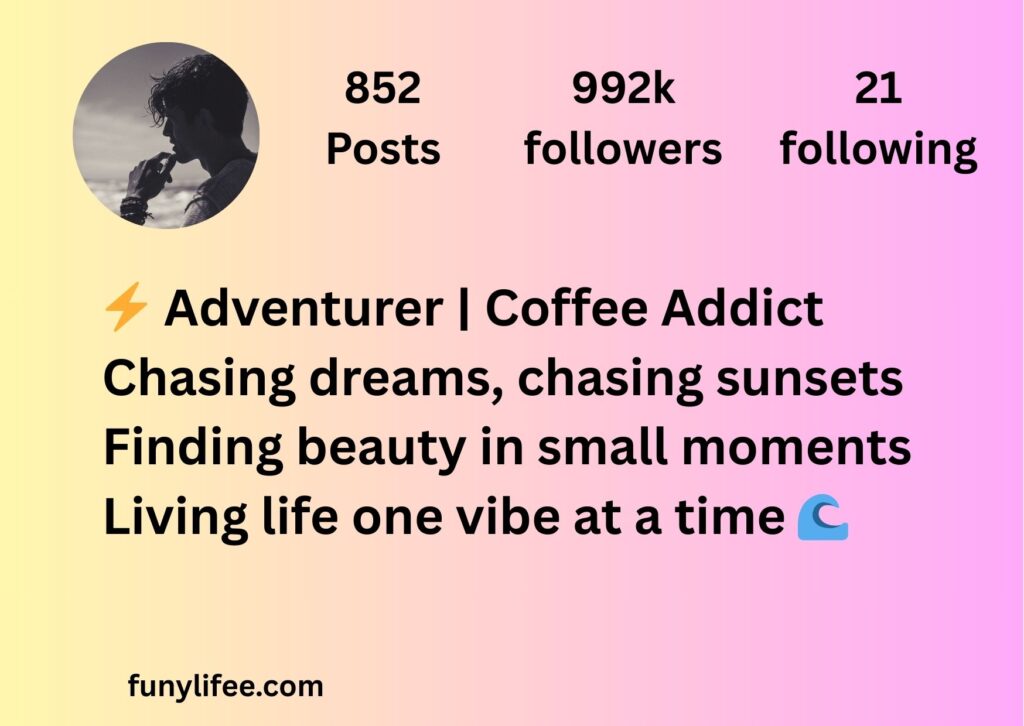 aesthetic bio for instagram