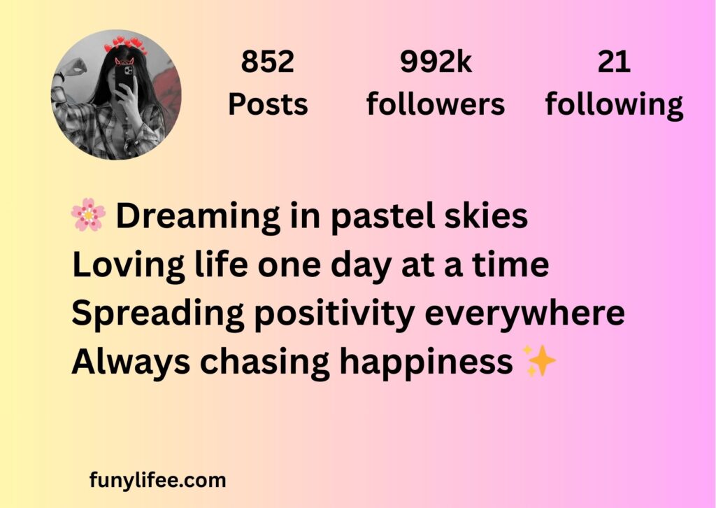aesthetic bio for instagram